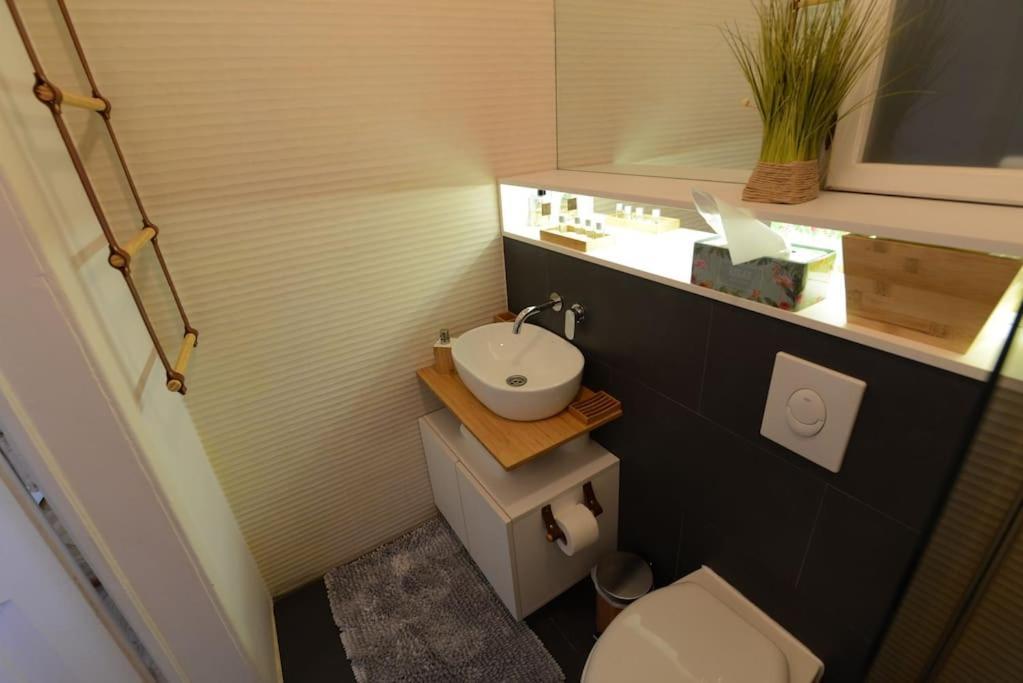 No.8: Lovely & Cosy 3-Room Heart Of The City Timisoara Esterno foto