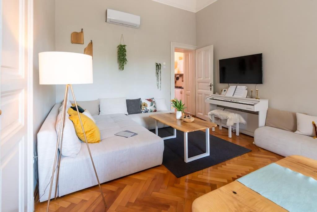 No.8: Lovely & Cosy 3-Room Heart Of The City Timisoara Esterno foto