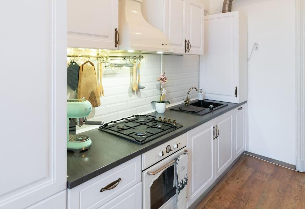 No.8: Lovely & Cosy 3-Room Heart Of The City Timisoara Esterno foto