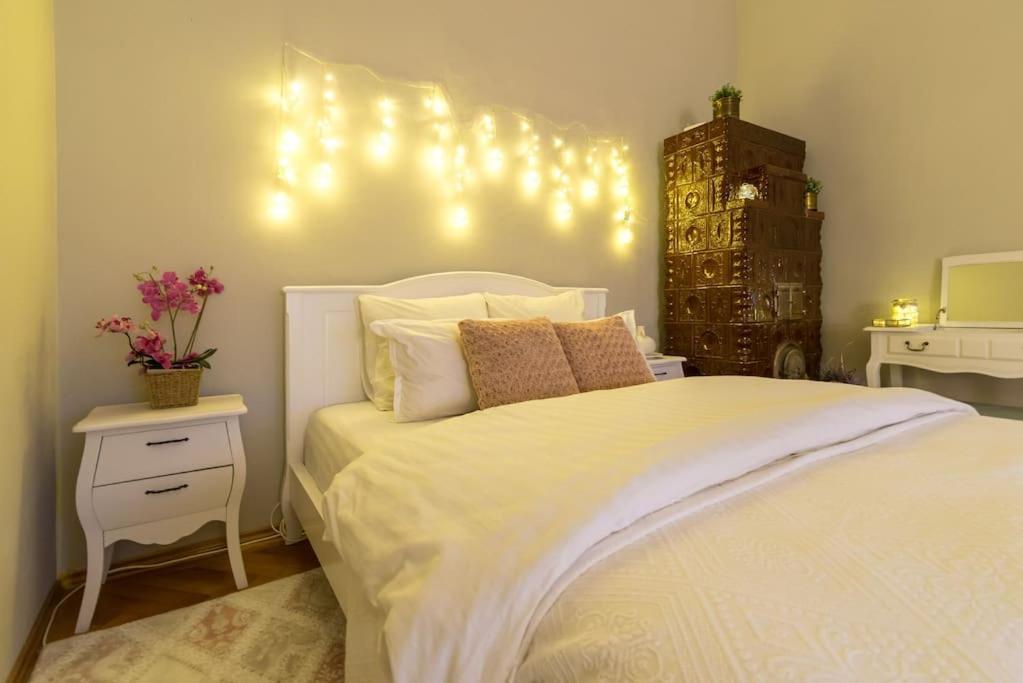 No.8: Lovely & Cosy 3-Room Heart Of The City Timisoara Esterno foto