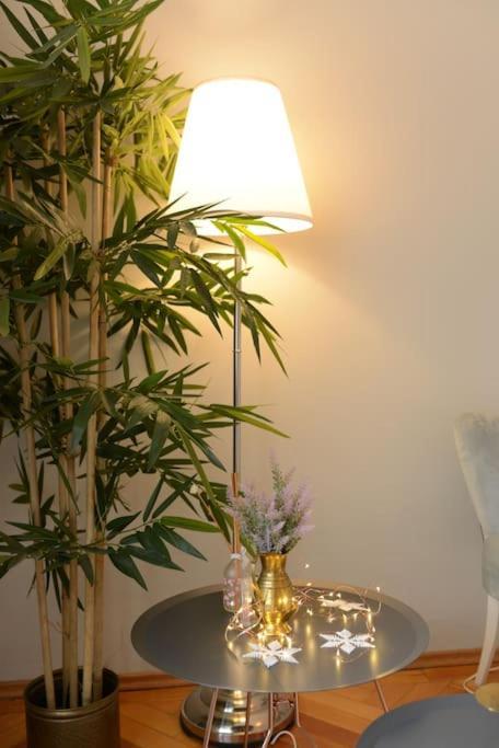 No.8: Lovely & Cosy 3-Room Heart Of The City Timisoara Esterno foto